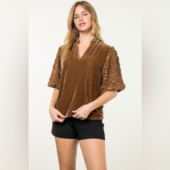 THML Tops - NWT THML• Brown Velvet Puff Sleeve V Neck Top Size XS